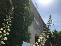 sunshine20180811.jpg