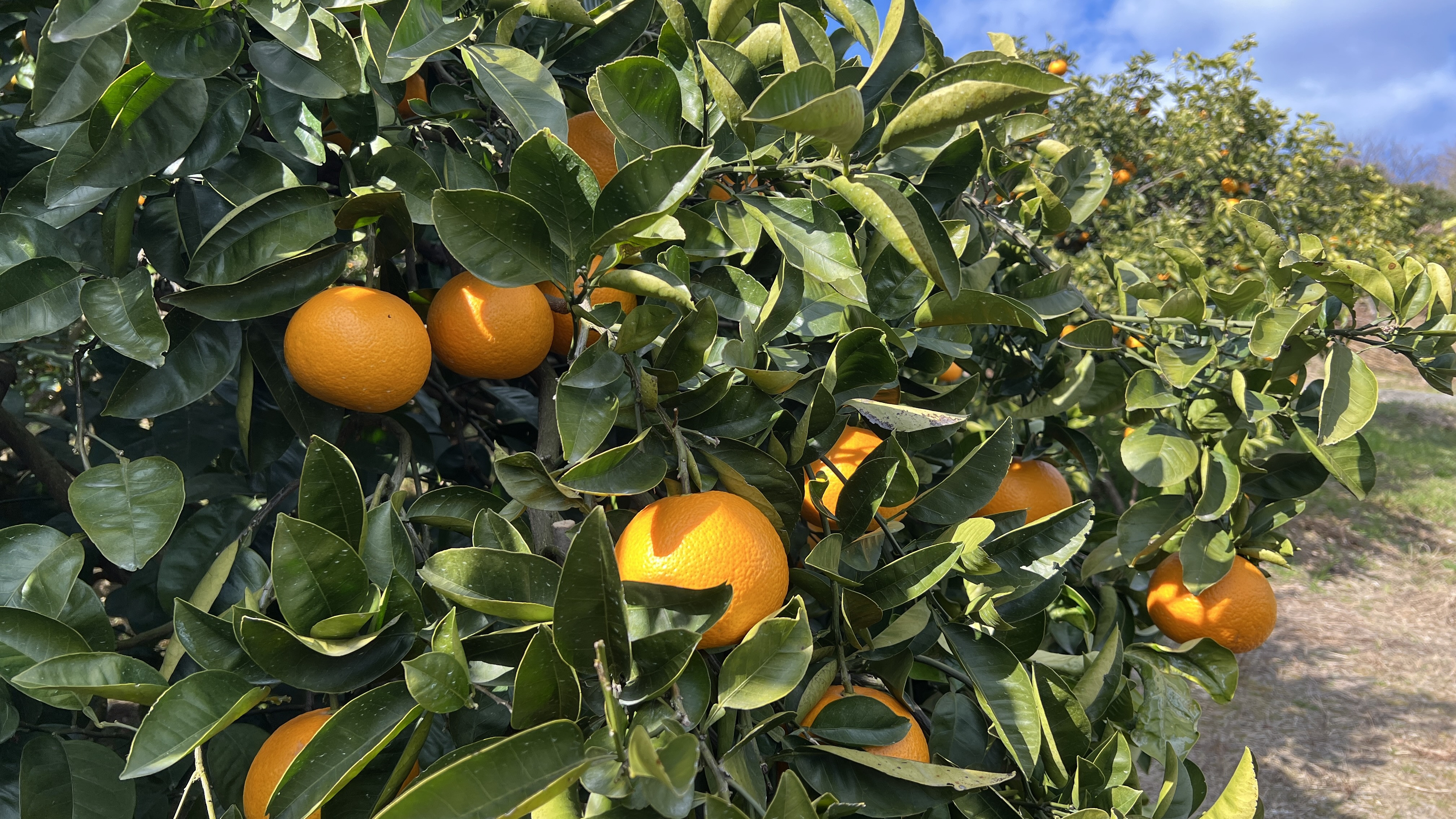 2026年4月末までの教会の予定をお知らせします。