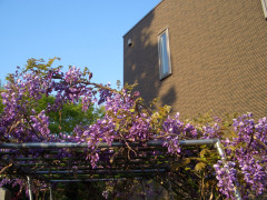 CIMG9754.JPG