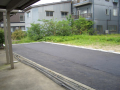 CIMG9773.JPG