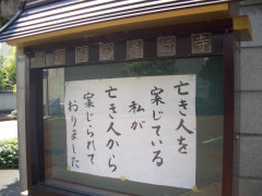 CIMG9840.JPG