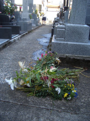 CIMG9885.JPG