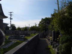 CIMG9888.JPG