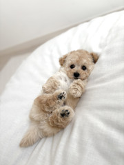 10月23日生まれ　男の子