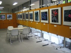 IMG_5398.JPG