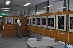 DSC_0140.JPG