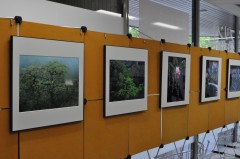 高倉展5.JPG