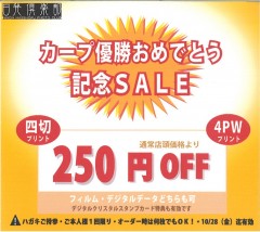 カープセール.jpg