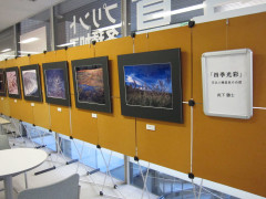 IMG_4252.JPG