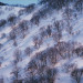 k_003.jpg