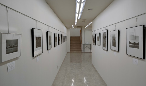 edition photo.jpg