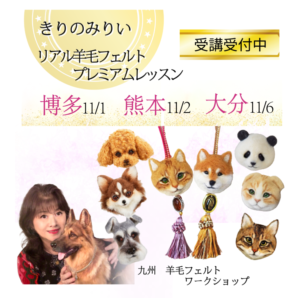 博多、熊本、大分、プレミアムレッスン