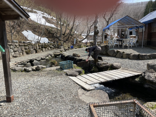 IMG_1170.jpeg