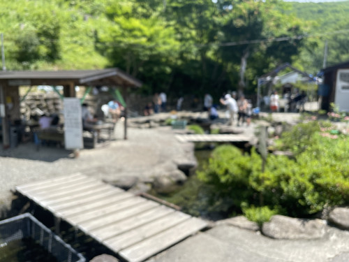 IMG_1477.jpeg