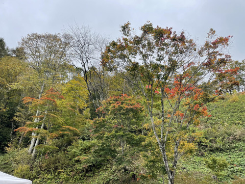 IMG_1639.jpeg