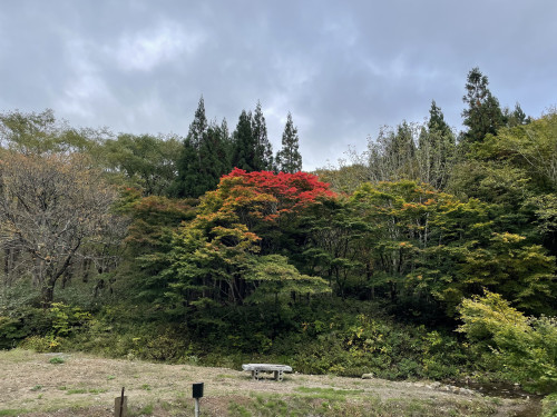 IMG_1647.jpeg