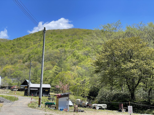 IMG_1993.jpeg