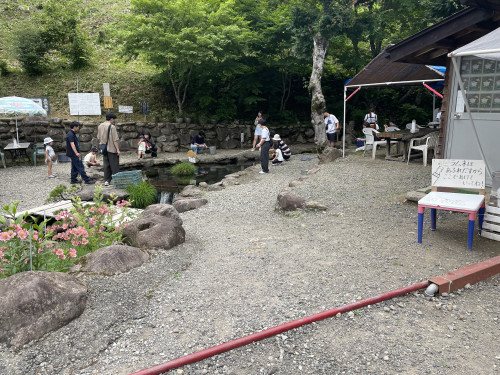 IMG_2092.jpeg