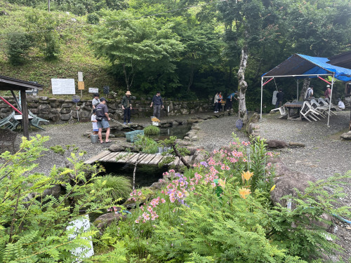 IMG_2102.jpeg