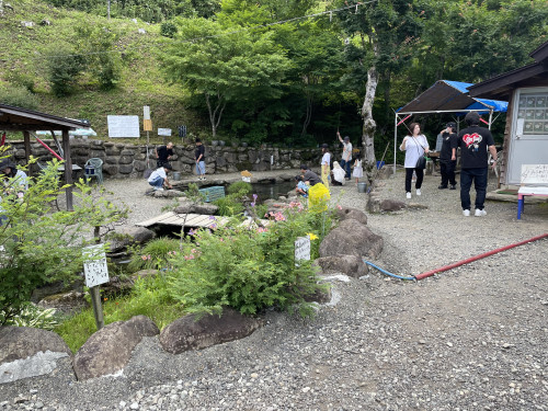 IMG_2109.jpeg