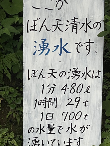 IMG_2160.jpeg