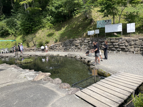 IMG_2176.jpeg