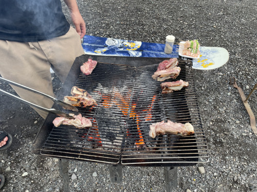 IMG_2206.jpeg
