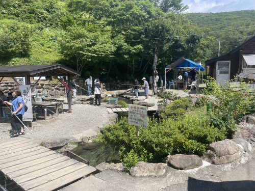 IMG_2249.jpeg