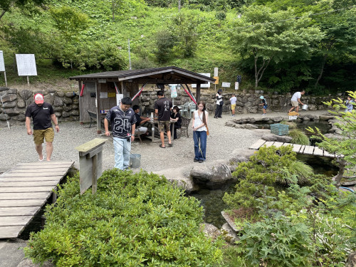 IMG_2253.jpeg
