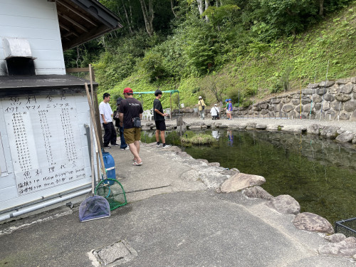 IMG_2254.jpeg