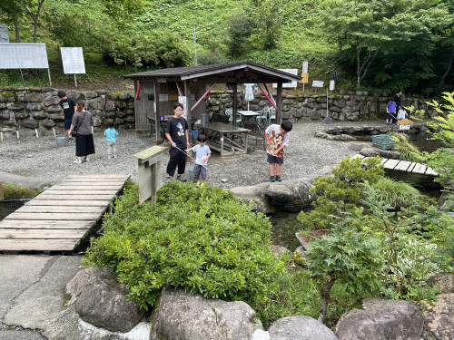 IMG_2258.jpeg