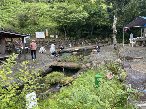 IMG_2285.jpeg