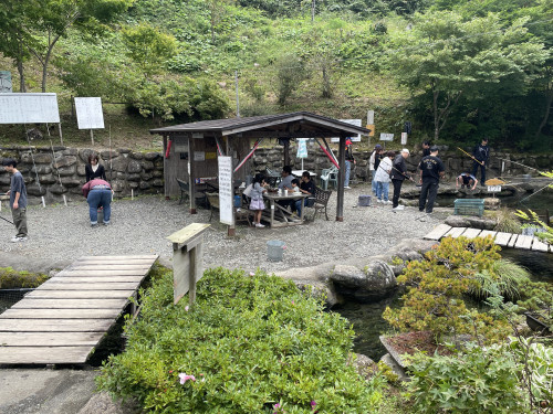 IMG_2313.jpeg