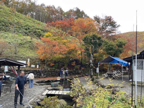 IMG_2416.jpeg