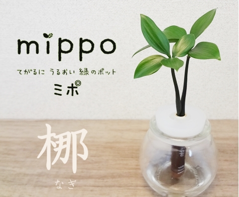 mippo_nagi480[1].jpg