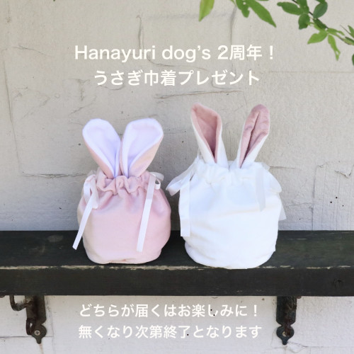 Hanayuri Dog’s 2周年感謝プレゼント🎀