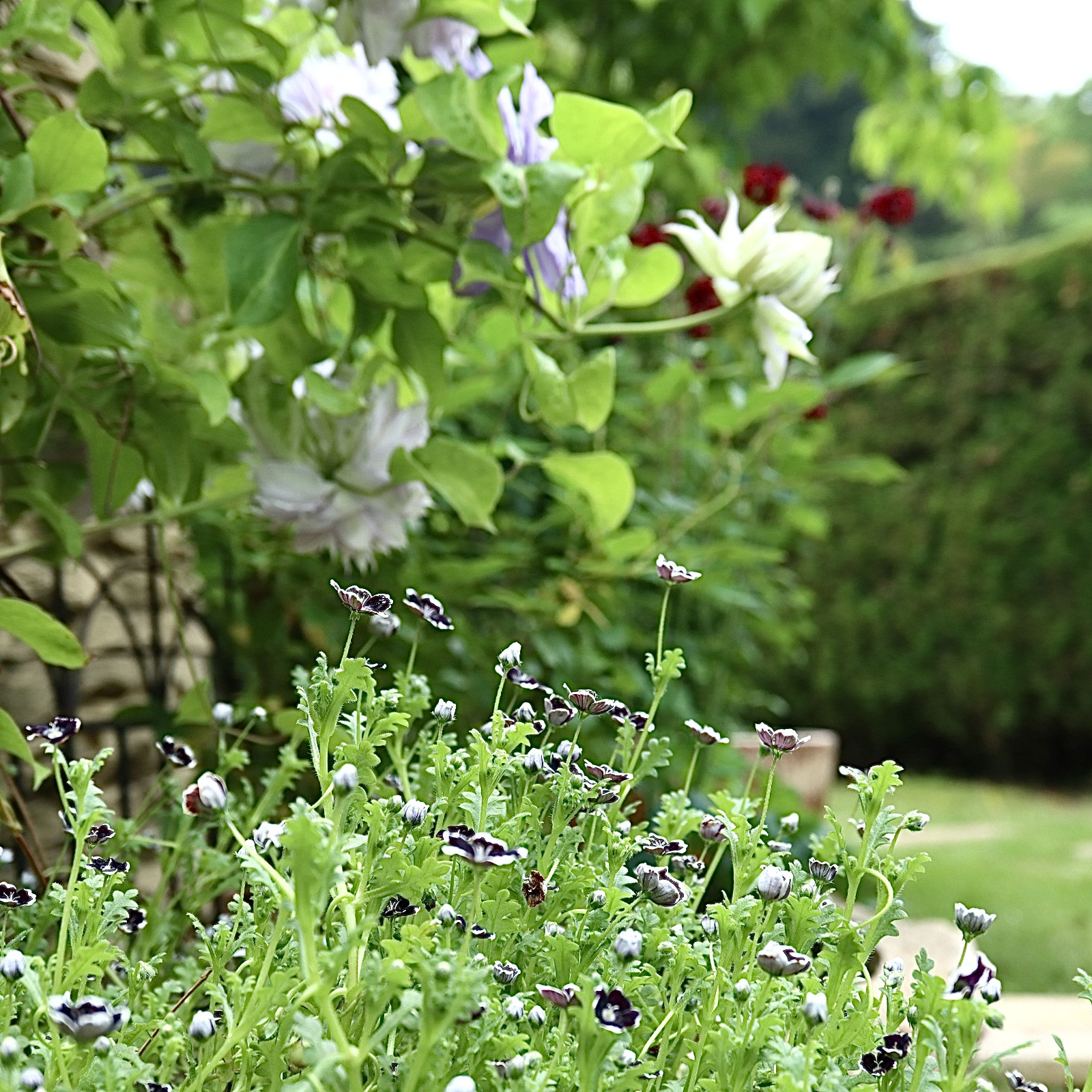 ゴールデンウィークのお休みはカレンダー通りです