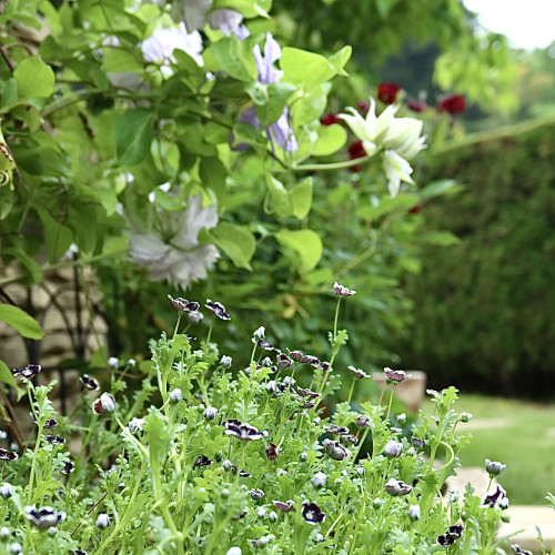 ゴールデンウィークのお休みはカレンダー通りです
