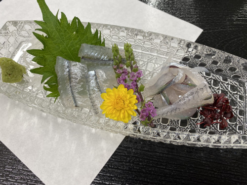 サヨリのお刺身始めました