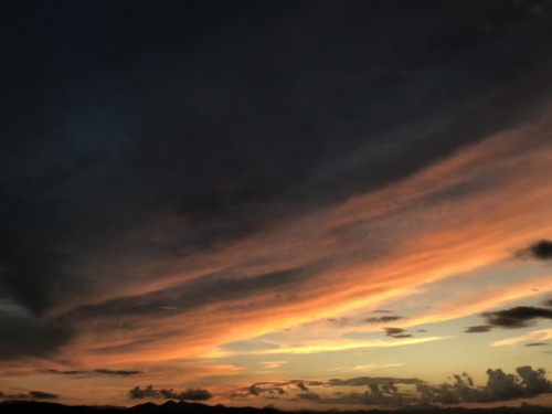 ８月２８日18時で早くしめます。