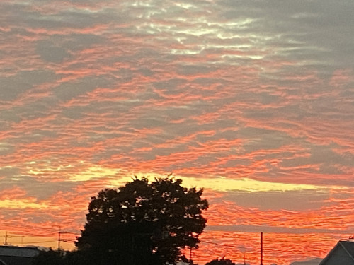 2020年末、2021年始の営業案内