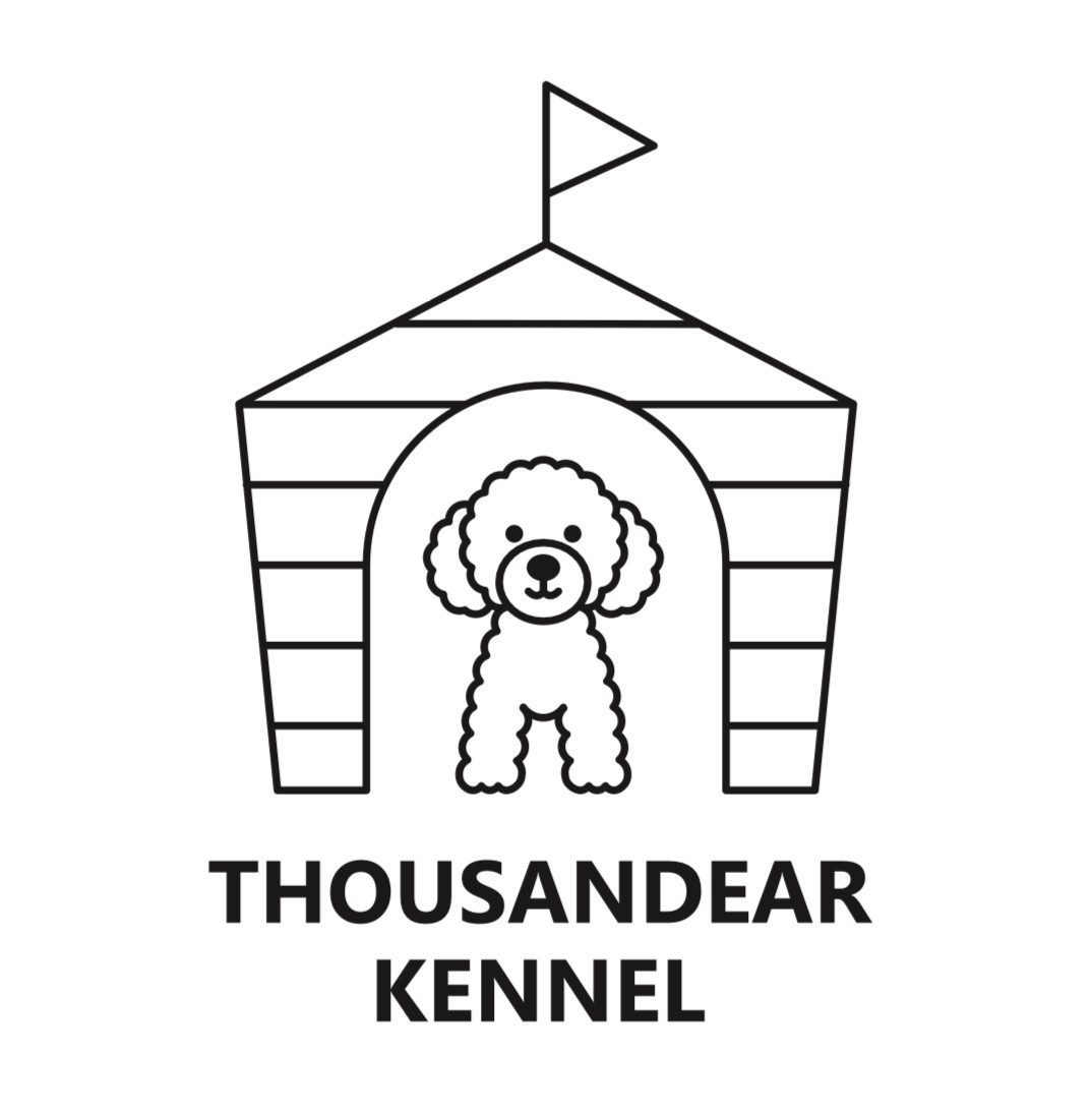犬舎より🏡 - THOUSANDEAR 仔犬販売 里親募集 里親募集中