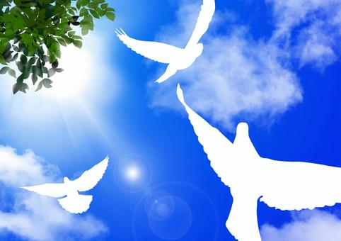 放課後等デイサービス Npo法人 ライフカンパニー新富