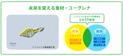 image-08.png