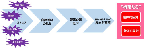 98900-6-1258a98f7cb3d1eeea082bf388ae563b-1080x360.jpeg