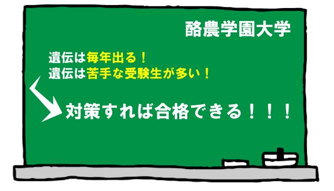 path956.png
