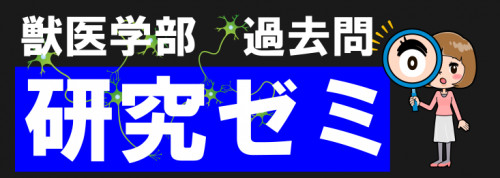 bitmap.png