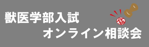 オンライン相談会.png