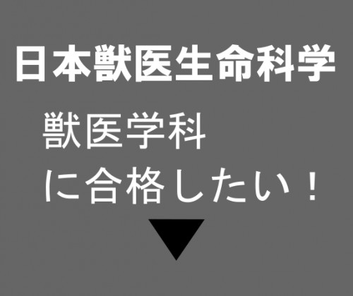 日獣獣医.png