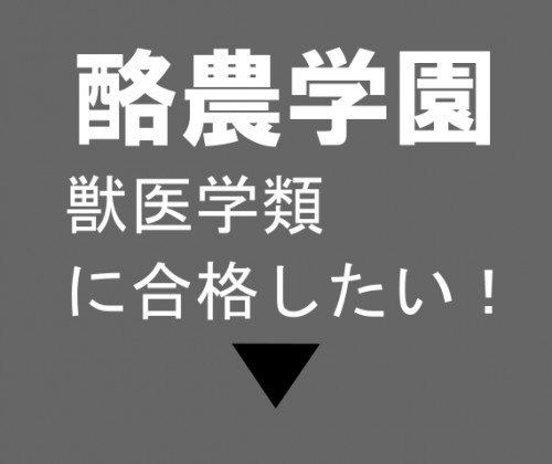 酪農学園獣医.png